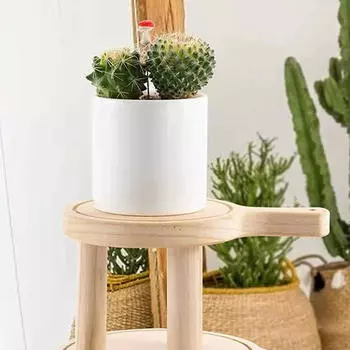 и, деревянная витрина для горшков и стойка для хранения в прихожей 14x10cm