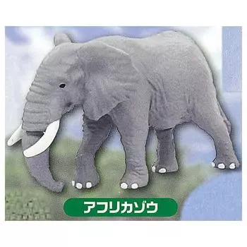 I love Capsule Animal World African Gacha Gacha Capsule Toy Ania! [2. Elephant] (Single Item)