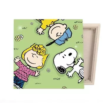 I Love Painting Peanuts DIY CUBIC PAINTING 2525cm, Field Snoopy, 1 шт. Популярные корейские игрушки