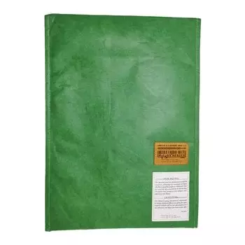 И.С.. Конверт-кейс WILSON SERIES из Tyvek с магнитом, зеленый ITVK-8-GN