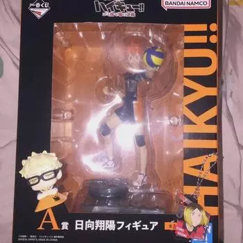 I Sell Hinata Figures