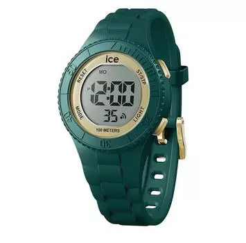 Ice 21619 часы