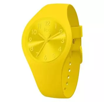 Ice IW017908 часы