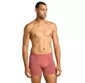 Icebreaker трусы-боксёры Merino 150 Anatomica S