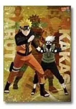 Ichiban Kuji THE LAST NARUTO THE MOVIE 2nd Prize Clear Poster Naruto Kakashi Single Item BANPRESTO &