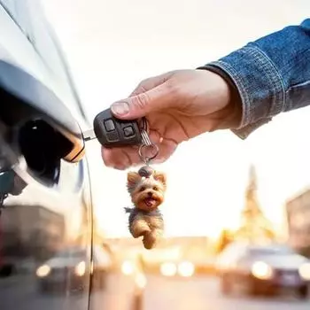 Идеальный подарок для тех, кто любит персонализировать свои рождественские украшения, или как уникальный автомобильный аксессуар, прекрасное дополнение к елочным украшениям,