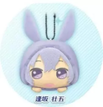IDOLiSH7 Kirado Masukoto Plush ~Rabbit Parka Pastel Color ver.~vol.2 Sougo Osaka