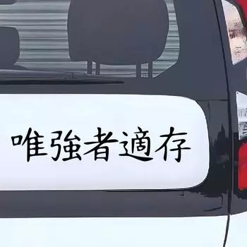 Иероглиф выживает сильнейший забавный стикер автомобиля виниловая наклейка водостойкие автомобильные аксессуары декор 30x6cm белый