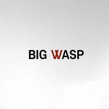 Игла SMP Big Wasp Ombre, 0803RL25, 1 шт.
