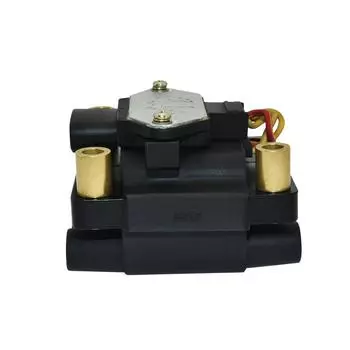 Ignition coil 22433-AA020