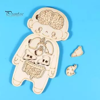 Игра-головоломка «Внутренние органы человека», обучающая структура человеческого тела, анатомическая головоломка, детская игрушка для малышей из дерева, обучающая игра STEM Sets