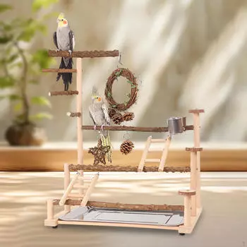 Игровая площадка для попугаев Аксессуары для клеток Игровой манеж для кореллы Какаду Попугаи