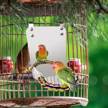 Игровая площадка с птичьим окунем для миниатюрных птичек-компаньонов S