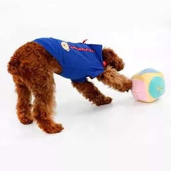 Игровой мяч The Plan Nosework Puppy, желтый, 1 шт.
