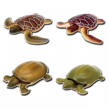 Игрушечная биологическая фигурка серии Turtles of the World 1 4 типа Набор Зеленая морская черепаха Зеленая морская черепаха Suppon Suppon Gacha Gacha Capsule Toy [Ассорти