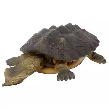 Игрушечные фигурки существ серии Turtles of the world 2 Matamata Gacha Gacha Capsule Toy [4. Б] (один предмет)