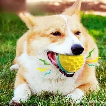 Игрушечный мяч для домашних животных, жевание, шлифование зубов, чистка зубов, выпуклая точка, устойчивость к укусу, эластичные тренировочные питосы для игрушек для собак