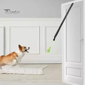 Игрушка-банджи для улицы, подвесная игрушка на дереве с регулируемым тросом, игрушка для игры в перетягивание каната, интерактивная игрушка для домашних животных, играющая с чисткой зубов, жевательная игрушка Sets