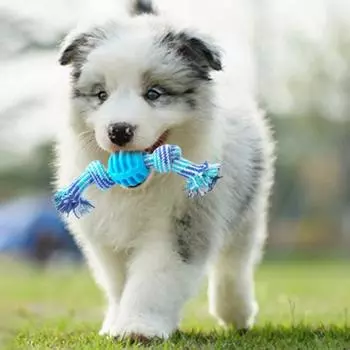 Игрушка для домашних животных Мяч с двойным узлом, устойчивый к укусам, хлопковая веревка, игрушка для жевания собак оранжевый