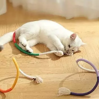 Игрушка для кошек, веревка, жевательная резинка для домашних животных, 1 шт., изогнутая, новая, игрушка для кошек, устойчивая к укусам, игрушки для домашних животных, прочная, чистящая зубы, хлопковая веревка, избавляющая от скуки, уникальная