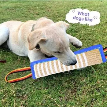 Игрушка для перетягивания для собак Подушка для укусов из жесткого джута Тренировочное оборудование Льняная интерактивная игрушка для перетягивания