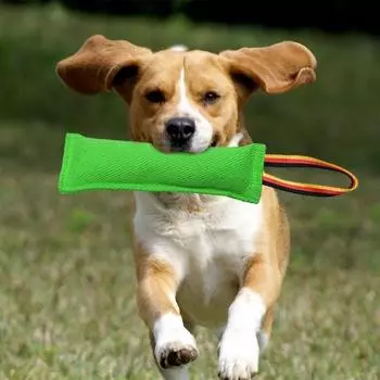 Игрушка для перетягивания каната для собак, интерактивная игрушка для перетягивания каната, обучающее оборудование, неразрушимая игрушка для собак средних и крупных пород синий