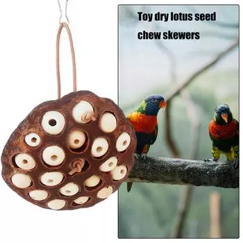 Игрушка для птиц Попугай Жевательная игрушка Птичья клетка Разрывающаяся игрушка Все размеры Птичья клетка Nature Lotus Seedpod Птичья игрушка для попугаев Кореллы 1