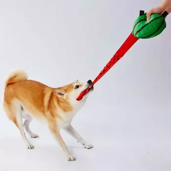 Игрушка для собак Petio Фруктовый арбуз Бийон!