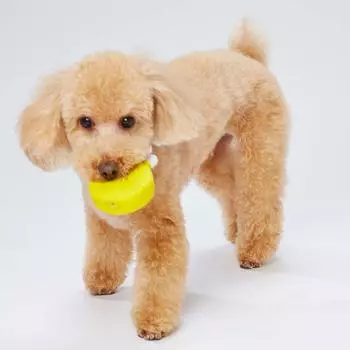 Игрушка для собак Petio You Are Latex Золотая медаль №1