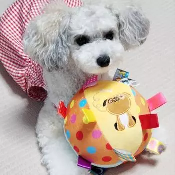 Игрушка для собак Petka, перетягивание мяча, вкладка для собак, TB-01
