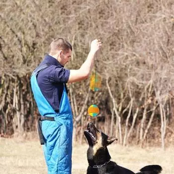 Игрушка для собак с мячом, интерактивная обучающая игра «Тяни и бросай», игрушка для собак, неразрушимая игрушка для собак с мячом для агрессивных жевателей синий