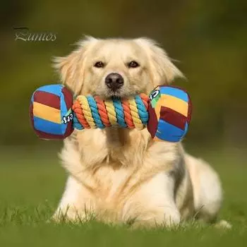 Игрушка для собак в форме радужной гантели, интерактивная пищащая игрушка для домашних животных, устойчивая к укусам, игрушка для прорезывания зубов для собак, товары для домашних животных разноцветный