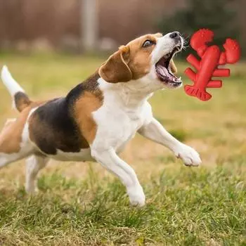 Игрушка для жевания собак для агрессивных жевателей Интерактивная игрушка для прорезывания зубов в форме лобстера Безопасная игрушка для обучения чистке зубов для собак