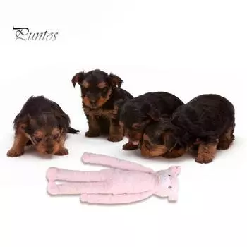 Игрушка для жевания собак, мультяшная свинья, утка, игрушка для домашних животных со встроенным звуком, чистка зубов, избавление от скуки, интерактивная собака розовый