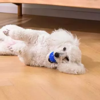 Игрушка для жевания собак Yousheng Tough, неразрушимый жевательный мяч для агрессивных любителей жевать, интерактивная игрушка-мяч с пищащим эффектом для больших и средних собак синий