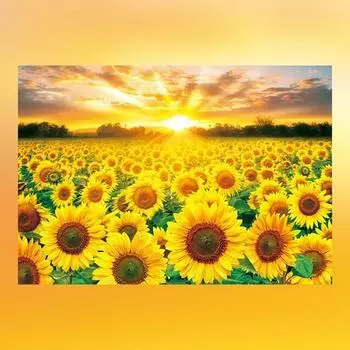 Игрушка и головоломка Noeuljin Sunflower Jigsaw Puzzle, популярные корейские головоломки