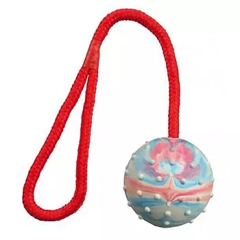 Игрушка-мяч для собак Trixie, 30 см