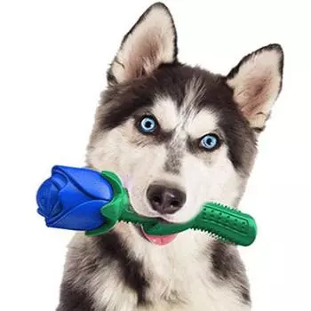 Игрушка собачья роза Dingdongpet 17 х 5 см, синяя, 1 шт.