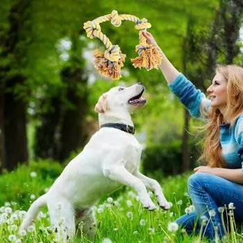 Игрушка-веревка для собак, агрессивная, жевательная игрушка с 5 хлопковыми узлами, натуральная хлопковая веревка, помощник по дрессировке собак