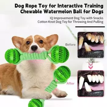 Игрушка-веревка для собак, интерактивный мяч для раздачи еды, игрушка-веревка для чистки зубов, питомец, играющий в грызущий арбузный мяч, игрушка для собак зелёный