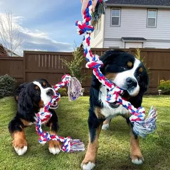 Игрушка-веревка для собак с 5 узлами, прочная игрушка-веревка для жевания собак, для агрессивного жевания, интерактивная хлопковая веревка для игры в перетягивание каната синий