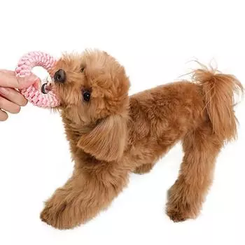 Игрушка-зубка Puppy O-ring S, Персиковый, 1 шт.