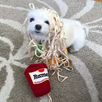 Игрушки для домашних животных для собак, обнюхивающие лапшу быстрого приготовления Ramen. Медленная еда. Интерактивные учебные принадлежности. Лапша потребляет энергию, чтобы развеять скуку. CHINA