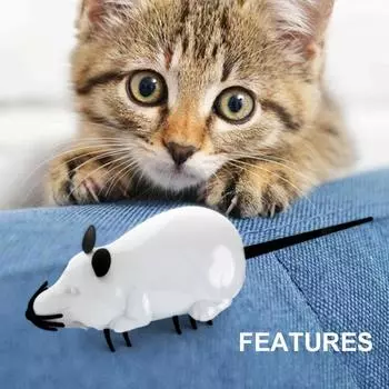 Игрушки для домашних животных Дразнящие кошки Мыши Муравьи Игрушки для кошек Мыши Моделирование Мини