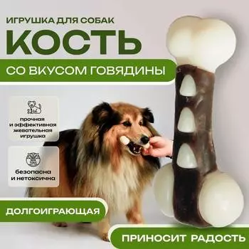 Игрушки для домашних животных, Собаки, Закуски для еды и игр, Игрушки для собак, Коровья кожа, Гнутые кости, Палочки для скрежетания зубами S коричневый