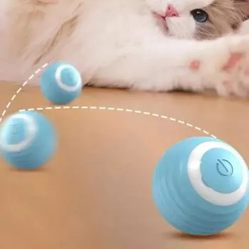 Игрушки для кошек Автоматические катящиеся кошки Аксессуары Smarts Игрушка для собак Pet Электрический мяч для кошек Интерактивные принадлежности Товары Дом и сад Diameter 4.2cm