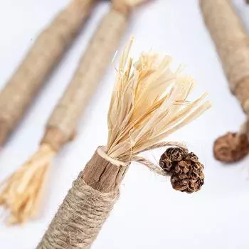 Игрушки для кошек Чистка зубов Серебряная лоза Жевательная палочка Палочки для домашних животных Натуральные палочки с кошачьей мятой для котят Игрушки для жевания с кошачьей мятой