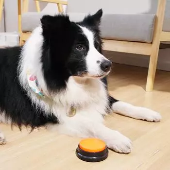 Игрушки для кошек и собак, говорящие кнопки для общения, записываемые забавные интерактивные обучающие игрушки для домашних животных, товары для животных зелёный