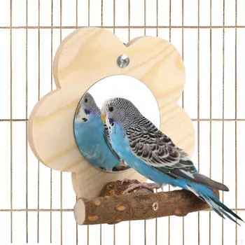 Игрушки для попугаев, зеркала, подвесные игрушки для клеток для птиц, деревянные жердочки, подставка из натурального дерева, аксессуары для попугаев