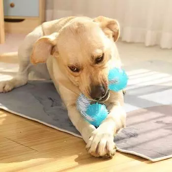 Игрушки для собак Игрушки Хлопковая веревка Зубы, устойчивые к укусам Игрушки с шипами и мячами Интерактивные товары для животных Аксессуары для животных Товары для животных зелёный